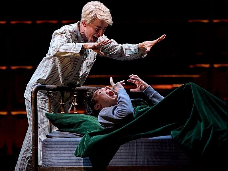Harry Potter and the Cursed Child *