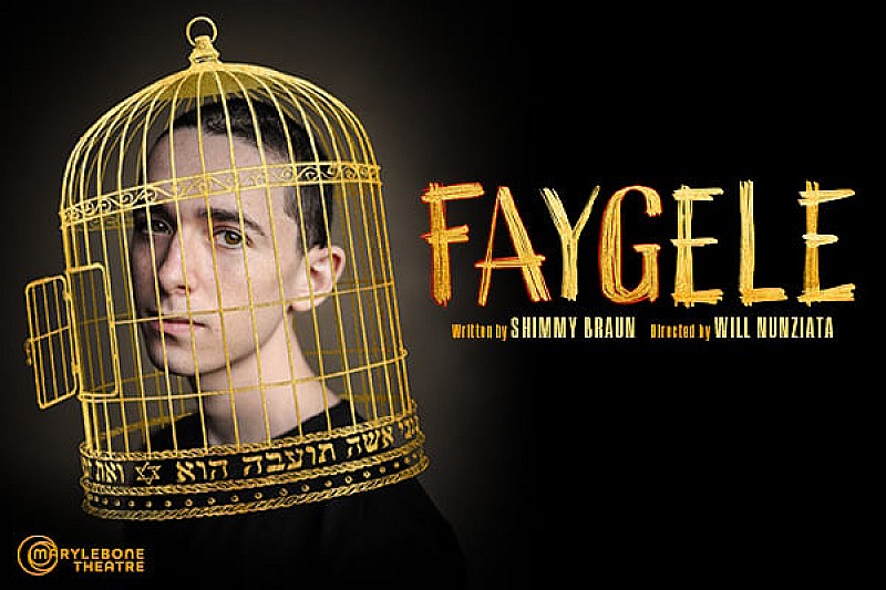 Faygele